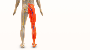 A representation of sciatica pain in a man